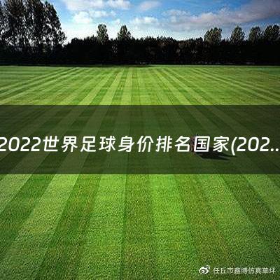 2022世界足球身价排名国家(2021世界足球身价)