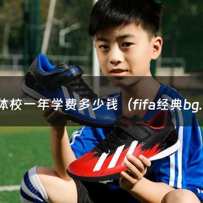 体校一年学费多少钱（fifa经典bgm）