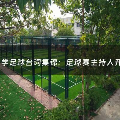 一起学足球台词集锦：足球赛主持人开场白台词（踢足球台词）