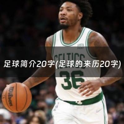 足球简介20字(足球的来历20字)