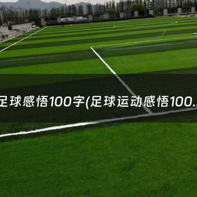 足球感悟100字(足球运动感悟100字)