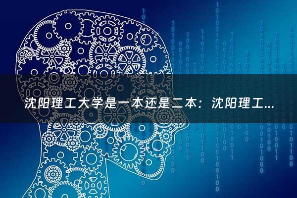 沈阳理工大学是一本还是二本：沈阳理工大学是一本还是二本学校（沈阳理工大学是211还是985）