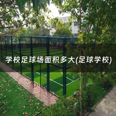 学校足球场面积多大(足球学校)