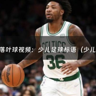 c罗落叶球视频：少儿足球标语（少儿足球的励志名言）